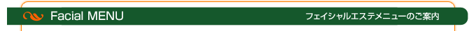 フェイシャルエステメニュー