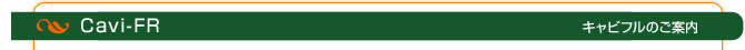 痩身メニュー Cavi-FR キャビフルのご案内