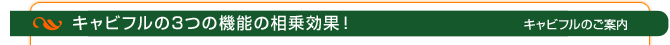 キャビフルの3つの機能の相乗効果！痩身メニュー