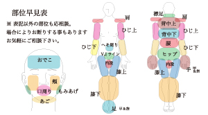 部位早見表