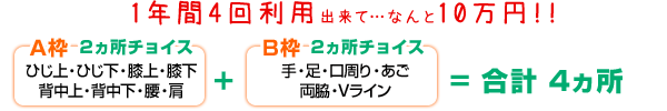 A枠とB枠から2ヶ所づつチョイス･･･合計4ヶ所！！1年間4回利用でなんと10万円